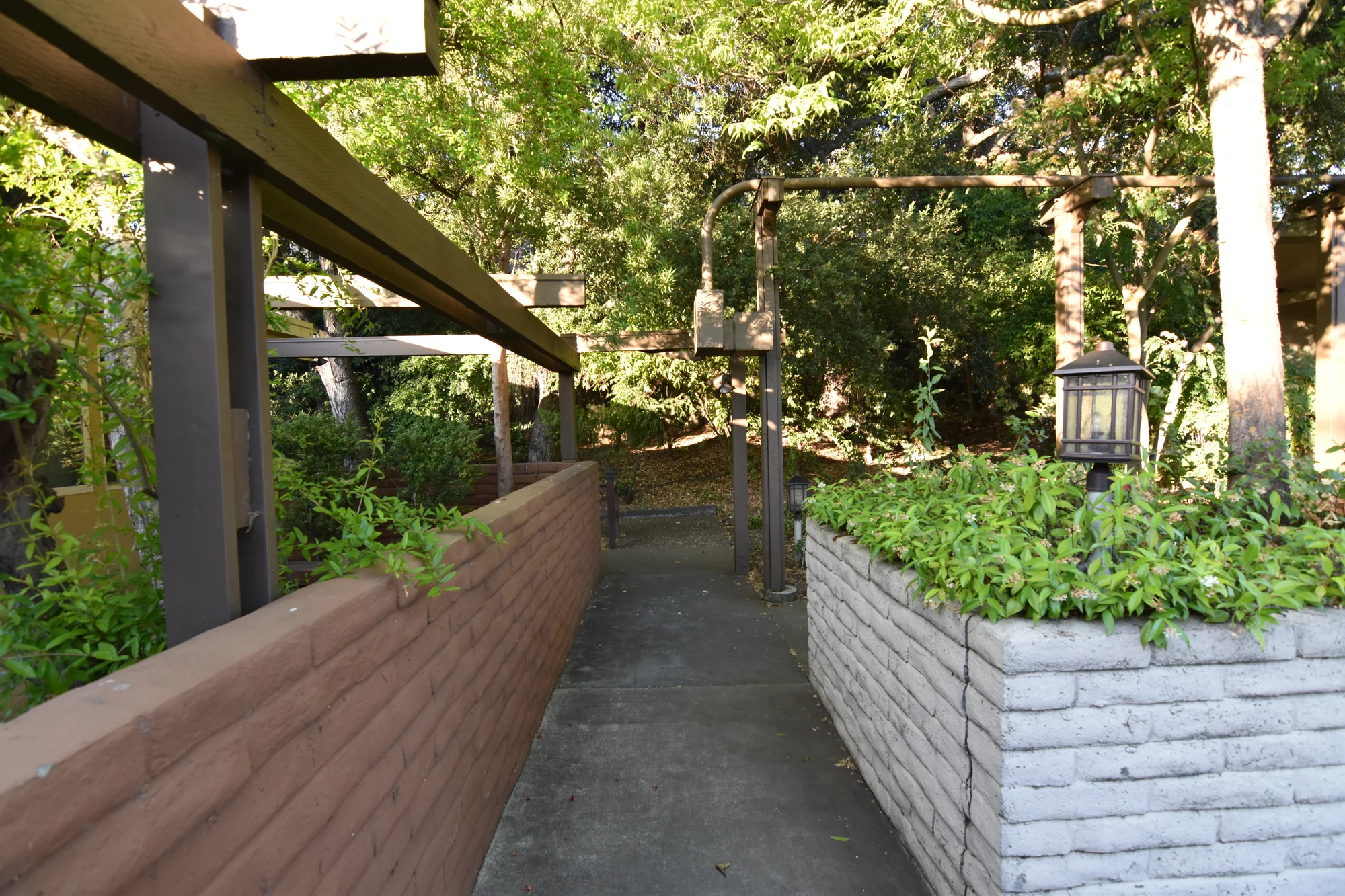 Walkway and landscaped entrance at Top Down Dental